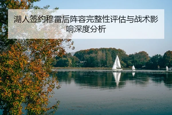 湖人签约穆雷后阵容完整性评估与战术影响深度分析