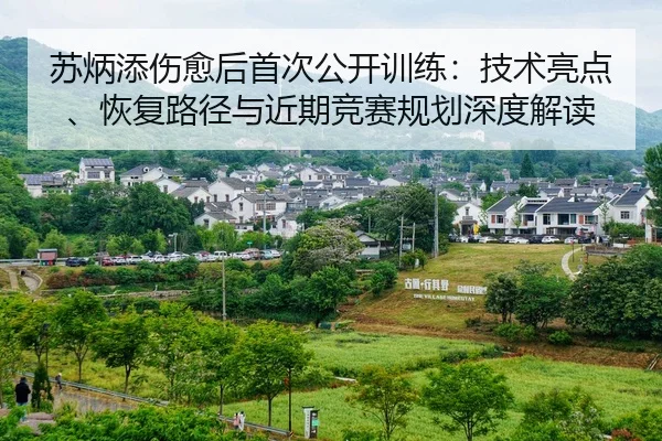 苏炳添伤愈后首次公开训练：技术亮点、恢复路径与近期竞赛规划深度解读（kaiyun.com）
